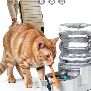 RIZZARI Pet Water Dispenser Stainless Steel Bowl Anti-Tip-0