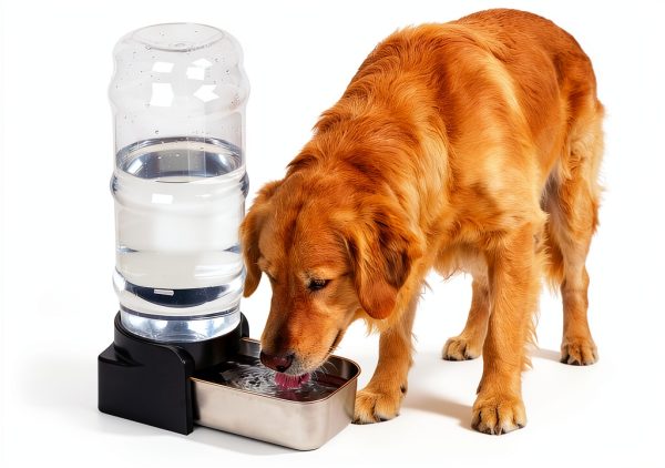 PAKEWAY Automatic Dog Water Dispenser Stainless Steel-0