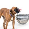 AKUATUZ Automatic Dog Water Dispenser Stainless Steel Large-6