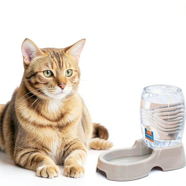 Flexzion Gravity Pet Water Dispenser Hygienic Automatic-1