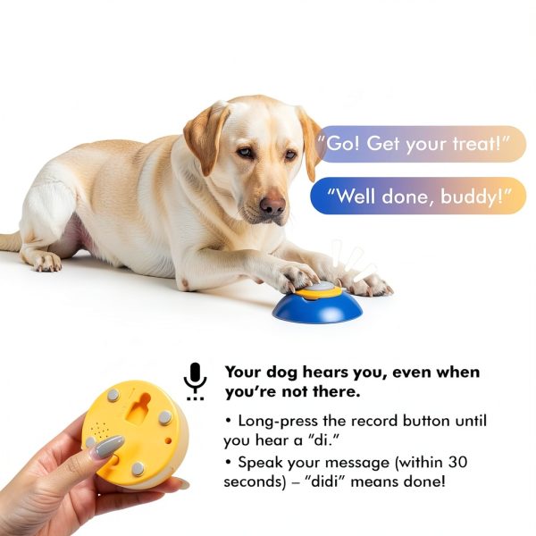 OtterVerz Interactive Dog Feeder Remote Play Training Toy-3