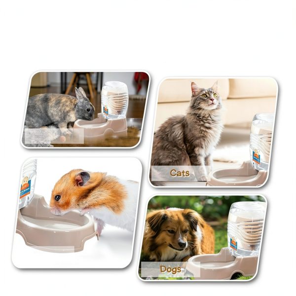 Flexzion Gravity Pet Water Dispenser Hygienic Automatic-8