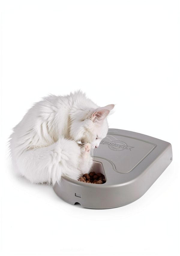 PetSafe 5 Meal Pet Feeder Automatic Timer Portion Control-1