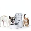 RIZZARI Pet Water Dispenser Stainless Steel Bowl Anti-Tip-2