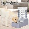 MASOCAT Dog Water Dispenser 8L Large Capacity Stainless-3
