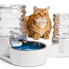 RIZZARI Pet Water Dispenser Stainless Steel Bowl Anti-Tip-4