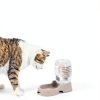 Flexzion Gravity Pet Water Dispenser Hygienic Automatic-4