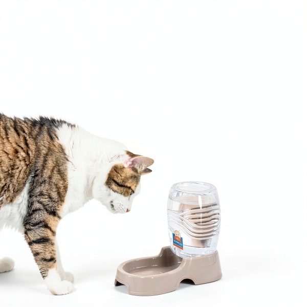 Flexzion Gravity Pet Water Dispenser Hygienic Automatic-4