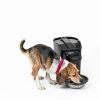 PetSafe Automatic Pet Feeder Battery Operated-1