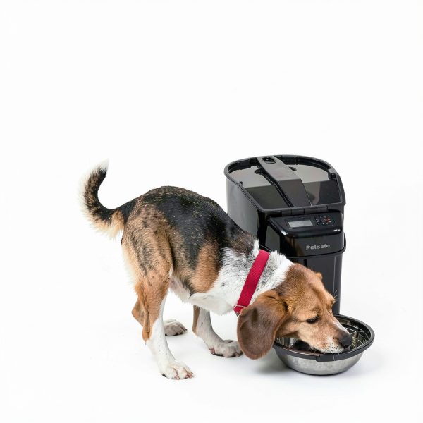 PetSafe Automatic Pet Feeder Battery Operated-1