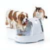 PetSafe Automatic Pet Feeder Battery Operated-7
